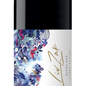 Liv Zak Block One 2020