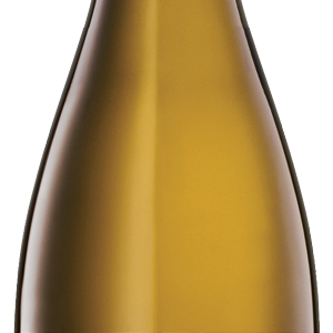 Liv Zak Blanc - 12 Pack